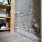 Maximizing Your Mold and Water Damage Settlements: The Power of a Public Adjuster