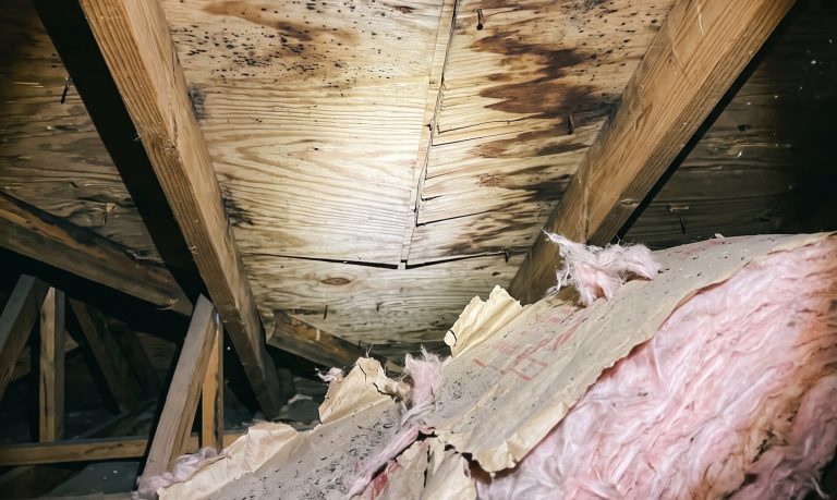Read more about the article Why Insurers Downplay Roof Deck Damage After Strong Wind Events
