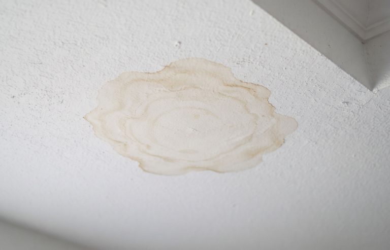 Read more about the article Your Florida AC Is Leaking Water and It May Be Damaging More Than You Think