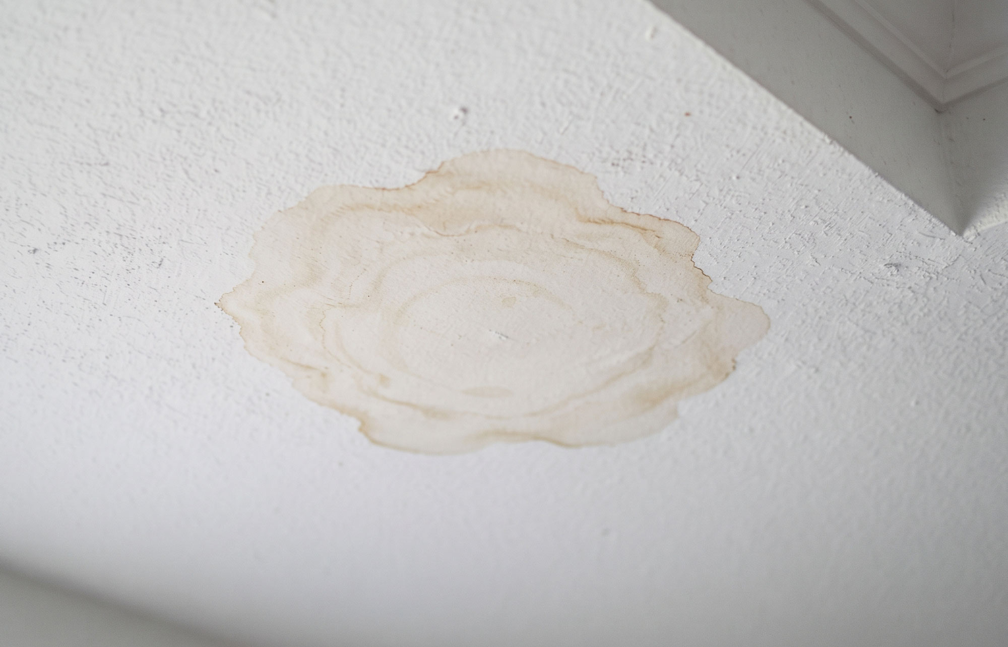 Read more about the article Your Florida AC Is Leaking Water and It May Be Damaging More Than You Think